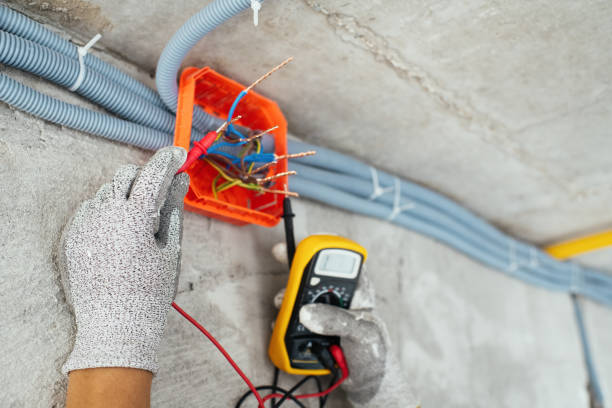 Best Electric Panel Repair  in Sparta, TN